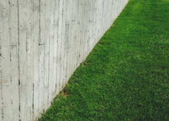 Jaki model kosy lub wykaszarki wybrać?