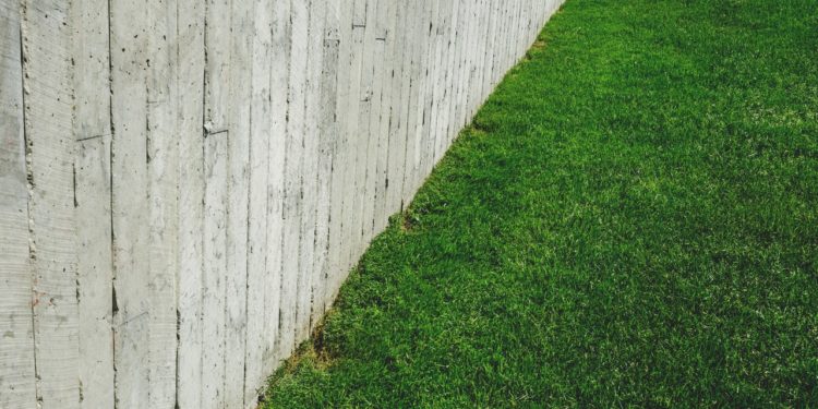 Jaki model kosy lub wykaszarki wybrać?