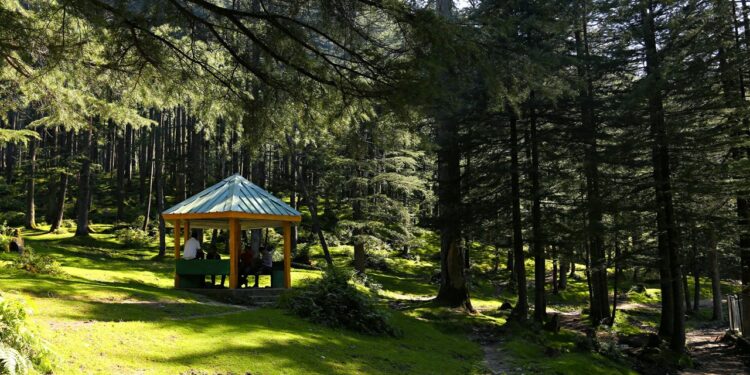 Nowoczesna altana z drewna i przestrzeń dookoła niej - X-MAG.pl altanka