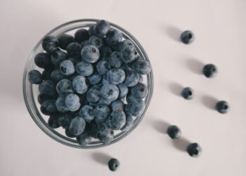 Sadzonki borówki amerykańskiej – jak o nie dbać?