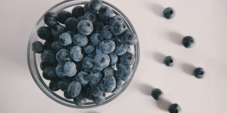 Sadzonki borówki amerykańskiej – jak o nie dbać?