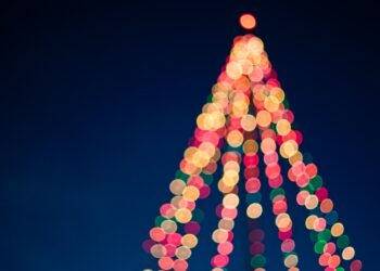 Choinki – dlaczego opłaca się je kupować w hurcie?