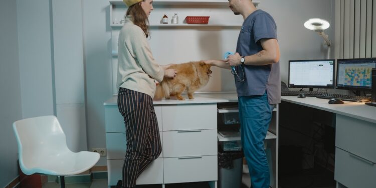 Weterynarz - kiedy warto się do niego udać? - X-MAG.pl lekarz weterynarii