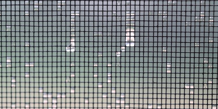 Moskitiery - jak je wybrać? - X-MAG.pl wybor moskitiery