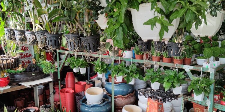 Centrum ogrodnicze - jakie towary posiada w swojej ofercie? - X-MAG.pl sklep ogrodniczy