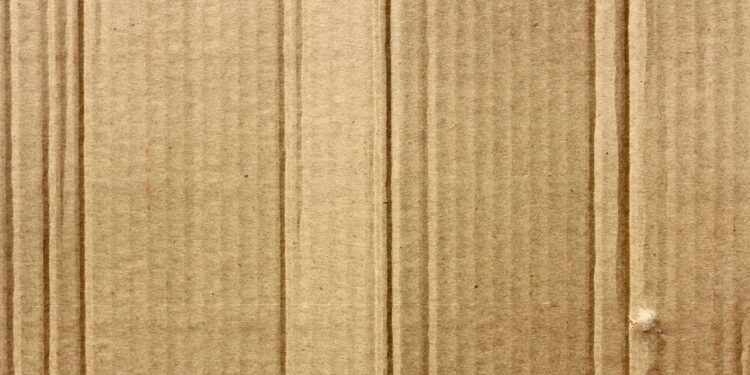 Jakie zastosowanie mają tacki tekturowe? - X-MAG.pl wykorzystnie tektury