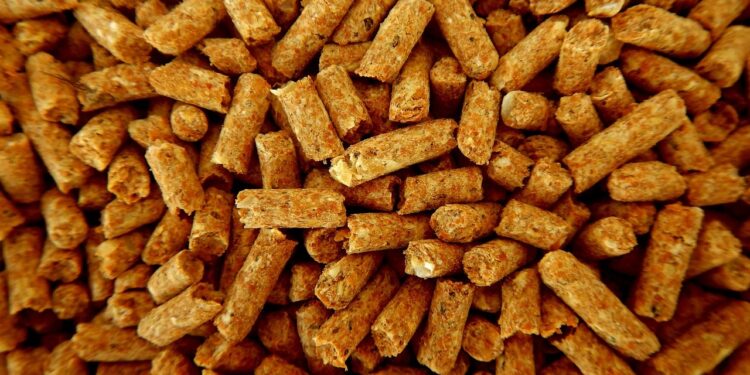 wodne kotly na pellet